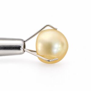 5.44 carat golden South Sea pearl, 9.1mm semi-round, AAA quality, natural undyed colour - Pure Pearls