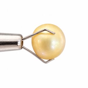 5.615 carat golden South Sea pearl, 9.3mm semi-round, AAA quality, natural undyed colour - Pure Pearls