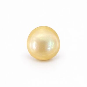 5.84 carat golden South Sea pearl, 9.4mm oval, AAA quality, natural undyed colour - Pure Pearls