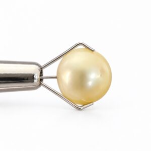 6.1 carat golden South Sea pearl, 9.5mm semi-round, AAA quality, natural undyed colour - Pure Pearls