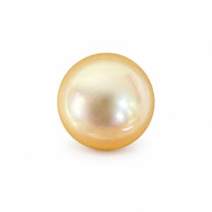 9.04 carat golden South Sea pearl, 10.8mm round, AAA quality, natural undyed colour - Pure Pearls